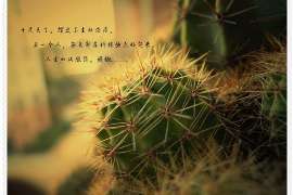 雅安专业寻人公司